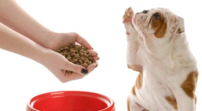 Unlock the Power of Proper Nutrition for Better Health